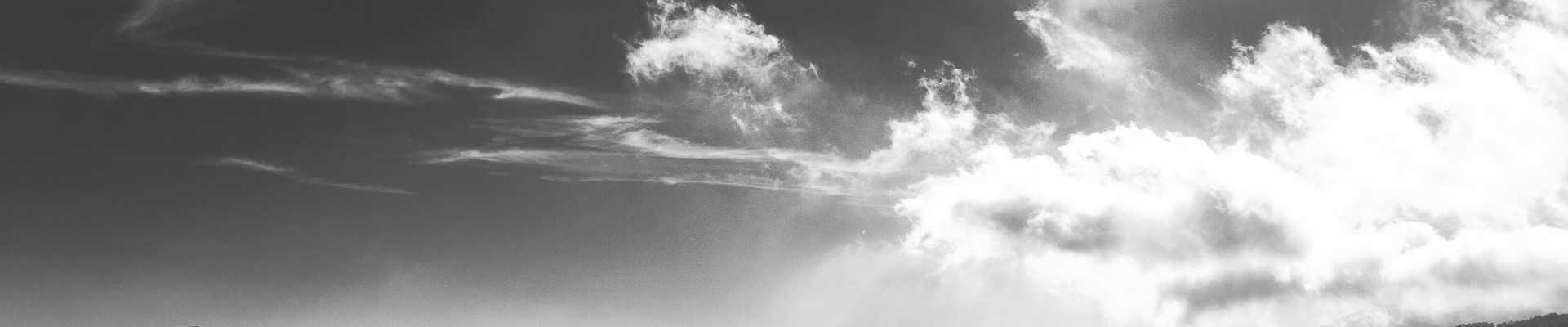 每日更新高清无广告